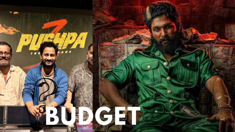 Pushpa 3: The Rampage Budget